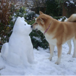 かわいい秋田キスをする雪だるま秋田写真 ポストカード