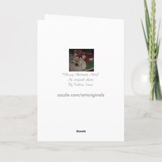 かわいい秋田サンタの帽子の円錐形の装飾のクリスマス シーズンカード (裏面)