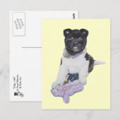 かわいい秋田犬とテディベアのリアリズムアートのポストカード ポストカード (正面/裏面)