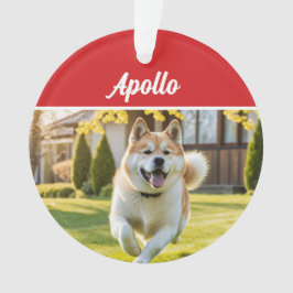 かわいい秋田犬のクリスマスフォト オーナメント