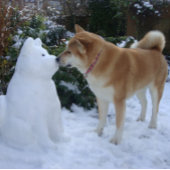かわいい秋田犬キスをするの雪 セラミックボールオーナメント