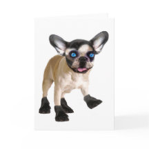 かわいい空白の内側カード