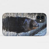 かわいい立ち野生ビーバー2野生生物写真 Case-Mate iPhoneケース (裏面(横))