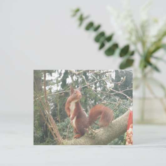 かわいい立リスDIYはがき ポストカード (スタンド正面)