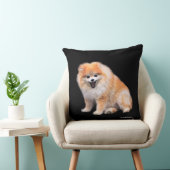 かわいい笑いポメラニア犬犬 クッション (椅子)