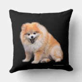 かわいい笑いポメラニア犬犬 クッション (裏面)