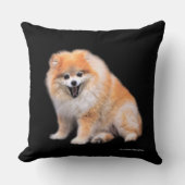 かわいい笑いポメラニア犬犬 クッション (正面)