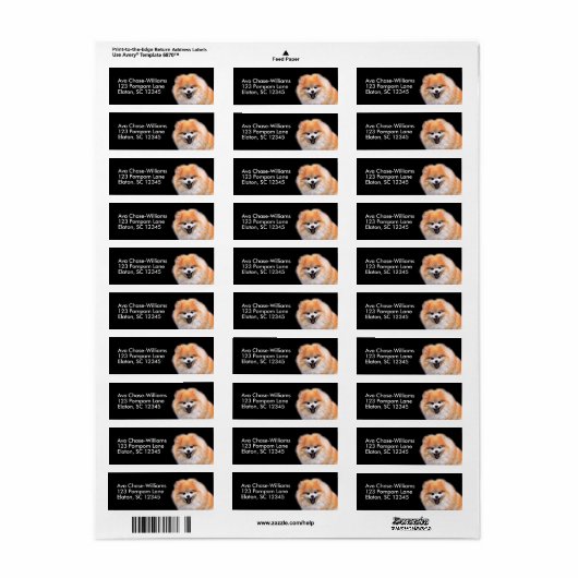 かわいい笑いポメラニア犬犬 ラベル (フルシート)