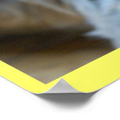 かわいい笑いヨークシャーテリア子犬ヨークシャーのテリア ポスター (角)