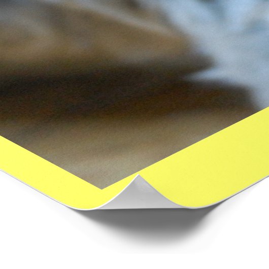 かわいい笑いヨークシャーテリア子犬ヨークシャーのテリア ポスター (角)