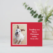 かわいい笑顔のトナカイ子犬レッドクリスマス ポストカード (スタンド正面)