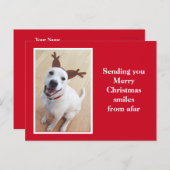 かわいい笑顔のトナカイ子犬レッドクリスマス ポストカード (正面/裏面)