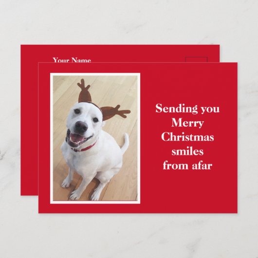 かわいい笑顔のトナカイ子犬レッドクリスマス ポストカード (正面/裏面)