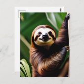 かわいい笑顔のナマケモノ ポストカード (正面/裏面)