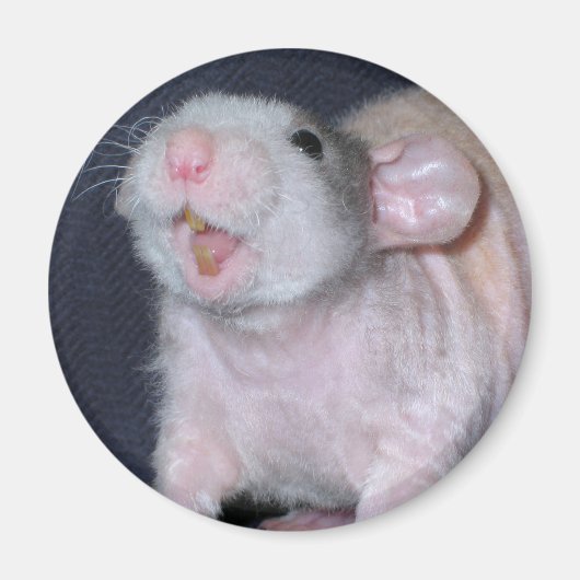 かわいい笑顔のネズミ マグネット (正面)