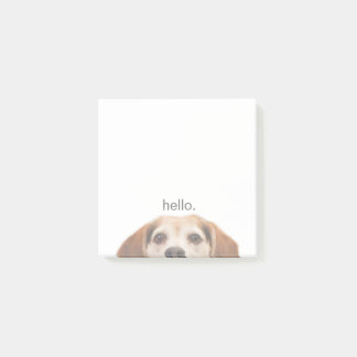 かわいい笑顔のビーグルとハロー引用文ポストノート ポストイット