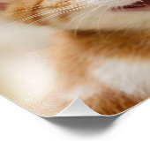 かわいい笑顔の子猫おもしろい顔猫ニャー写真 フォトプリント (角)