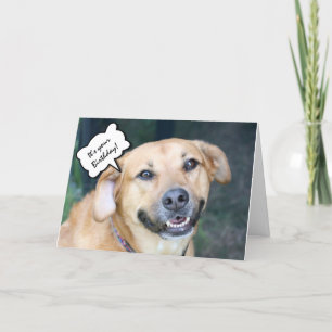 かわいい笑顔の犬と丘の上誕生日 カード