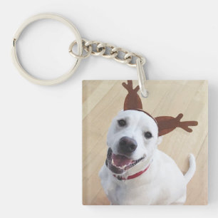 かわいい笑顔の白いトナカイの子犬のクリスマス キーホルダー
