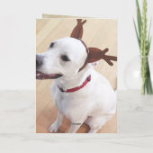 かわいい笑顔の白いトナカイの犬のクリスマス シーズンカード (裏面)