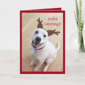 かわいい笑顔の白いトナカイの犬のクリスマス シーズンカード (正面)