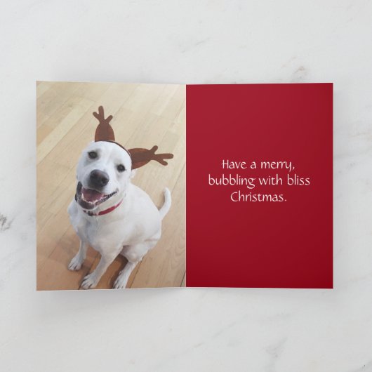 かわいい笑顔の白いトナカイの犬のクリスマス シーズンカード (内部)