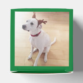 かわいい笑顔の白いトナカイ犬クリスマスグリーン フェイバーボックス (上部)