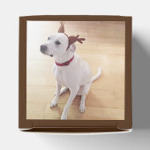 かわいい笑顔の白いトナカイ犬クリスマスブラウン フェイバーボックス (上部)
