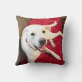 かわいい笑顔の白い子犬クリスマスレッド クッション (裏面)
