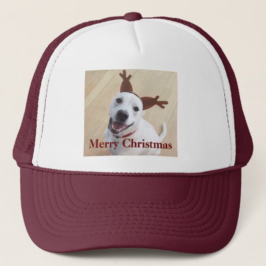 かわいい笑顔の白トナカイ子犬のクリスマス キャップ (正面)