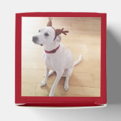 かわいい笑顔の白トナカイ犬クリスマスレッド フェイバーボックス (上部)