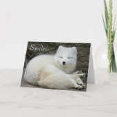 かわいい笑顔の白北極キツネ自然誕生日 カード (正面)