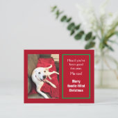 かわいい笑顔の白犬レッドクリスマスの写真 シーズンポストカード (スタンド正面)