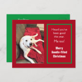 かわいい笑顔の白犬レッドクリスマスの写真 シーズンポストカード (正面/裏面)