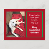 かわいい笑顔の白犬レッドクリスマスの写真 シーズンポストカード (正面)