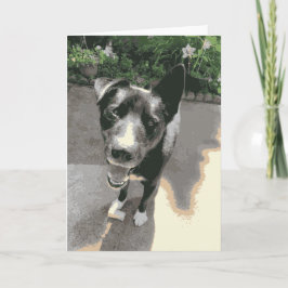 かわいい笑顔の黒い幸せな犬 カード