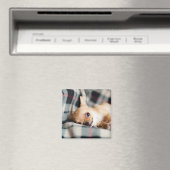 かわいい笑顔チワフアオンブランケット マグネット (インサイチュ (食洗機))