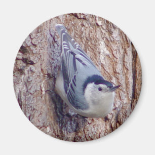 かわいい精神病院の鳥の磁石 マグネット