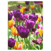 かわいい紫と黄色のチューリップ クリップボード (裏面)