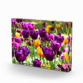 かわいい紫と黄色のチューリップ フォトブロック (右)