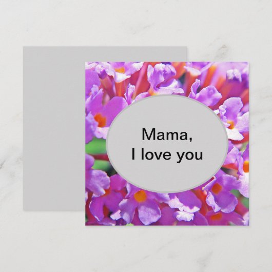 かわいい紫の小さな花 (正面/裏面)