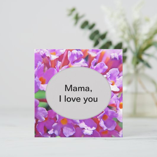 かわいい紫の小さな花 (スタンド正面)