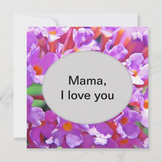 かわいい紫の小さな花 (正面)