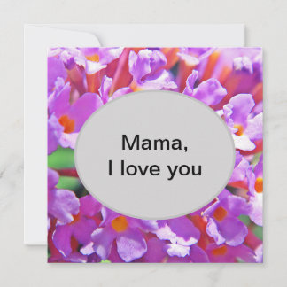 かわいい紫の小さな花