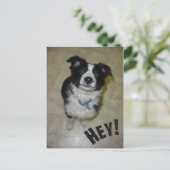 かわいい絵葉書 ポストカード (スタンド正面)