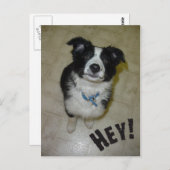 かわいい絵葉書 ポストカード (正面/裏面)