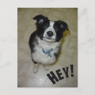 かわいい絵葉書 ポストカード