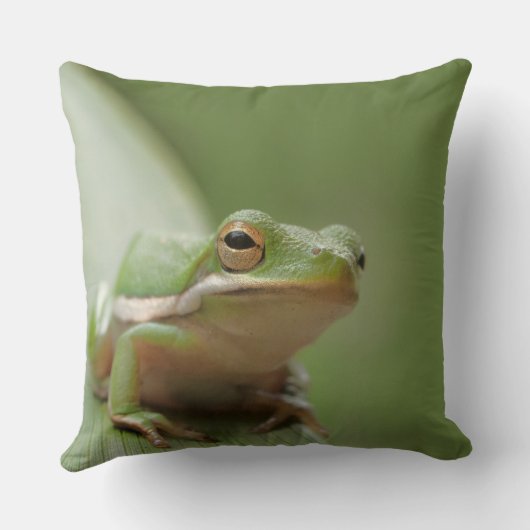 かわいい緑のアマガエルの装飾的な野性生物 クッション (裏面)