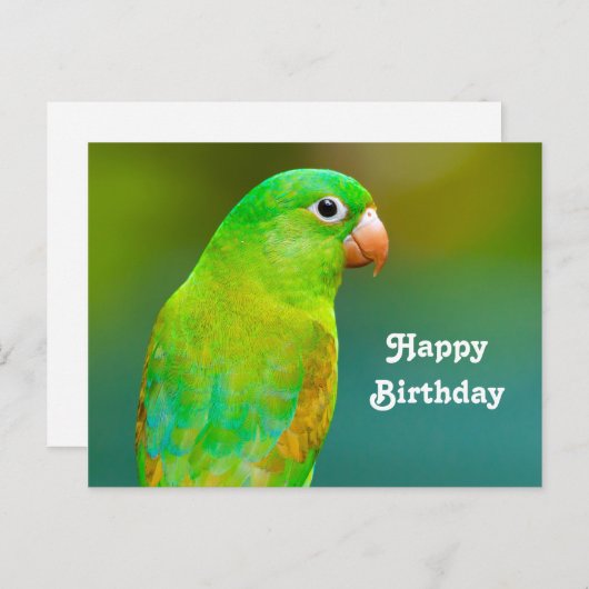 かわいい緑のインコの写真の誕生日 ポストカード (正面/裏面)