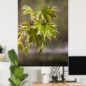 かわいい緑のカエデの枝葉小 ポスター (ホームオフィス)